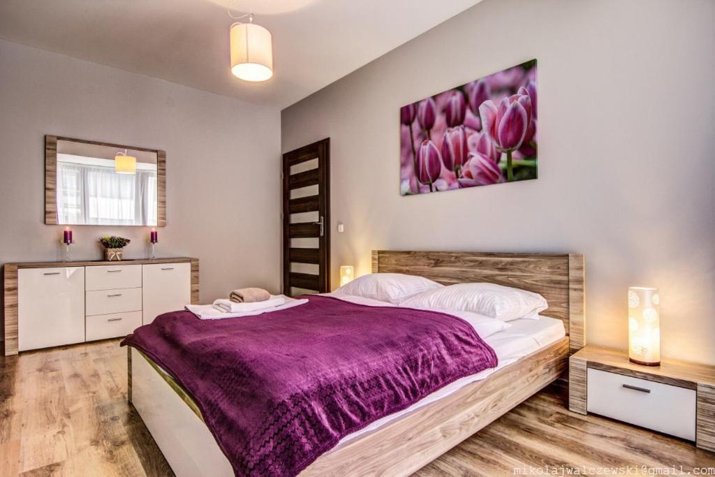 Apartamenty Oaza Deluxe 扎科帕内 外观 照片